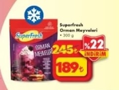 Superfresh Orman Meyveleri 300G