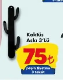 Kaktüs Askı 3'Lü