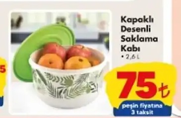Kapali Desenli Saklama Kabı 2,6 L