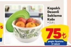 Kapalicli Desenli Saklama Kabı 2.6L