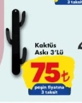Kaktüs Askı 3'Lü