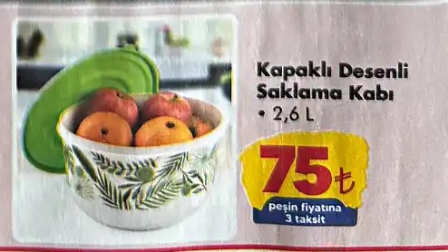 Kapalı Desenli Saklama Kabı 2,6 L