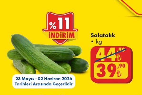 Salatalık Kg