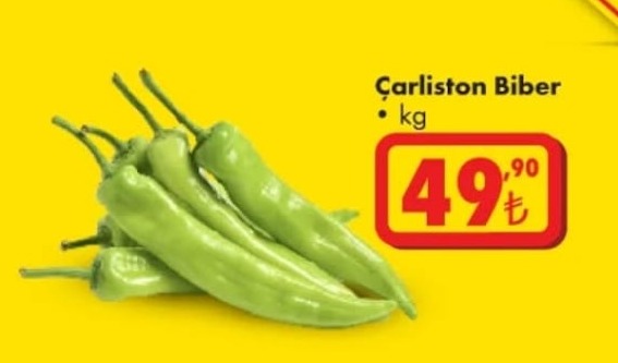 Çarliston Biber Kg