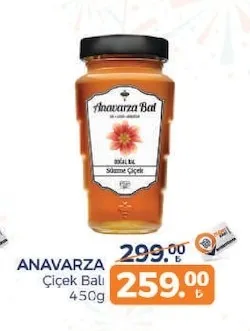 Anavarza Çiçek Balı 450G