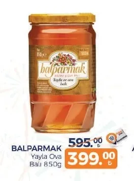 Balparmak Yayla Ova Balı 850G