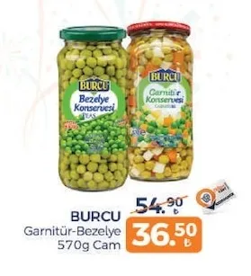 Burcu Garnitür-Bezelye 570G Cam