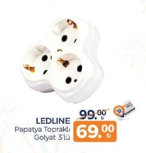 Ledline Papatya Topraklı Golyat 3'Lü