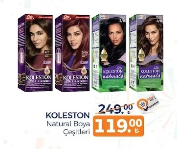 Koleston Natural Boya Çeşitleri