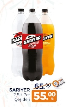 Sariyer 2.5Lt Pet Çeşitleri