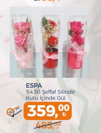 Espa 5430 Şeffaf Silindir Kutu İçinde Gül