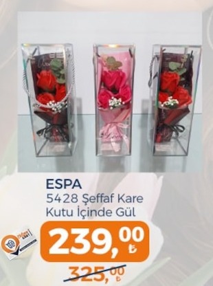 Espa 5428 Şeffaf Kare Kutu İçinde Gül