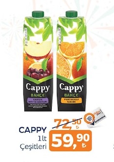 Cappy 1Lt Çeşitleri