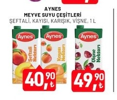 Aynes Meyve Suyu Çeşitleri 1 L