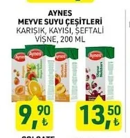 Aynes Meyve Suyu Çeşitleri 200 Ml
