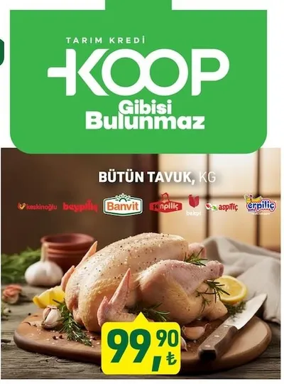 Bütün Tavuk Kg