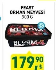 Feast Orman Meyvesi 300 G