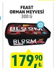 Feast Orman Meyvesi 300 G