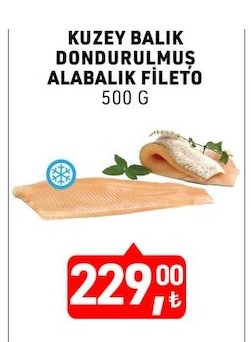 Kuzey Balık Dondurulmuş Alabalık Fileto 500 G