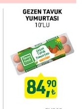 Gezen Tavuk Yumurtası 10'Lu