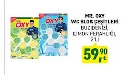 Mr. Oxy Wc Blok Çeşitleri Buz Denizi, Limon Ferahliği, 2'Li