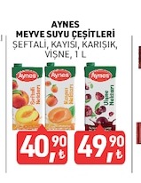 Aynes Meyve Suyu Çeşitleri Şeftali, Kayısı, Karişik, Vişne, 1 L