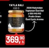 Yayla Balı 450G