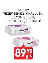 Sleepy Yüzey Temizlik Havlusu, Lilyum Buketi, Orkiode Bahçesi, 100'Lü