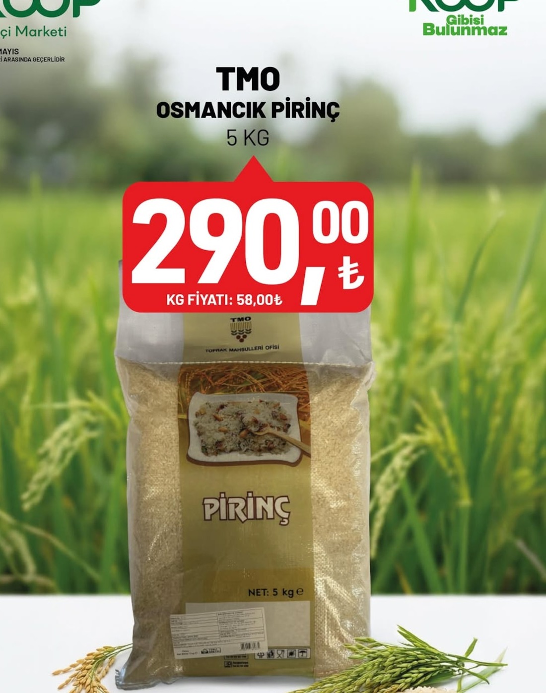 Tmo Osmancik Pirinç 5Kg
