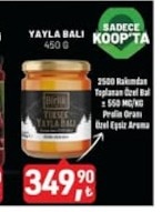 Birlik Yayla Bali 450 G