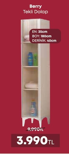 Berry Tekli Dolap