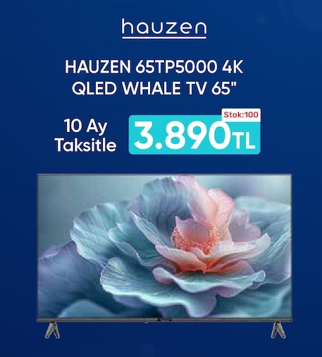 Hauzen 65Tp5000 4K Qled Whale Tv 65"