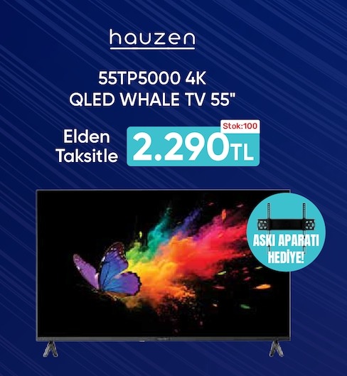 Hauzen 55Tp5000 55 Inc Qled Whale Tv