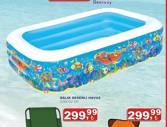 Balık Desenli Havuz 229X152 Cm