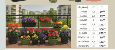 Manolya Saksı Çeşitleri