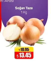 Soğan Taze 1 Kg