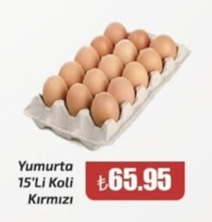Yumurta 15'Li Koli Kırmızı