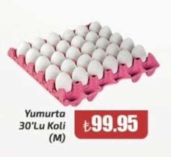 Yumurta 30'Lu Koli (M)