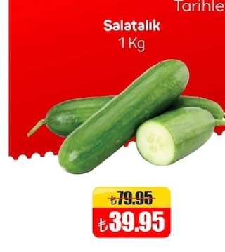 Salatalık 1 Kg