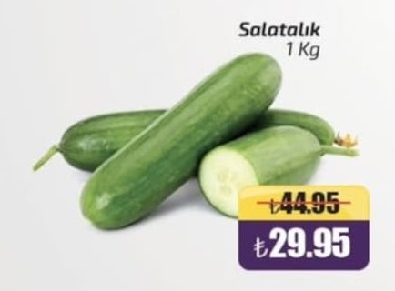 Salatalık 1 Kg