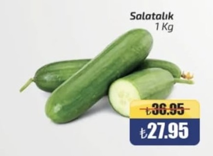 Salatalik 1 Kg