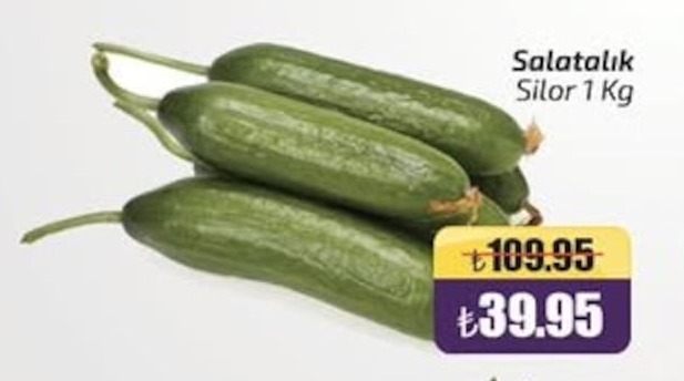 Salatalık Silor 1 Kg