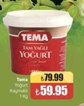 Tema Tam Yagli Yogurt 1 Kg