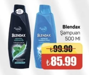 Blendax Şampuan Mentol Ferahlığı 500 Ml