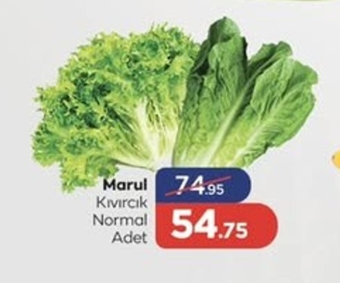 Marul Kivircik Normal Adet