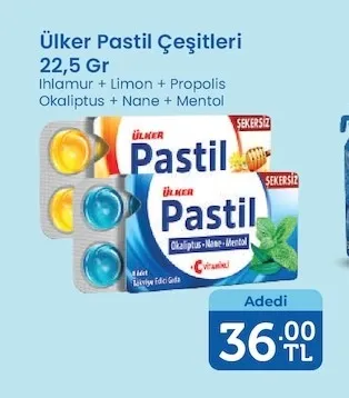 Ülker Pastil Çeşitleri 22,5 Gr