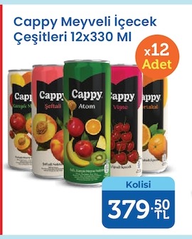 Cappy Meyveli İçecek Çeşitleri 12X330 Ml