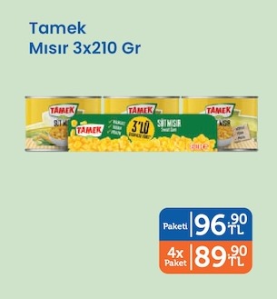 Tamek Mısır 3X210 Gr