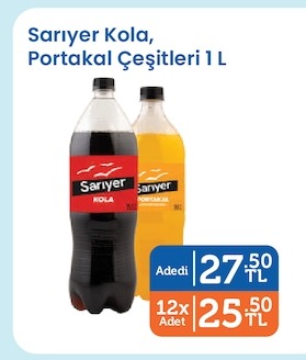 Sariyer Kola, Portakal Çeşitleri 1 L