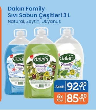 Dalan Family Sıvı Sabun Çeşitleri 3 L